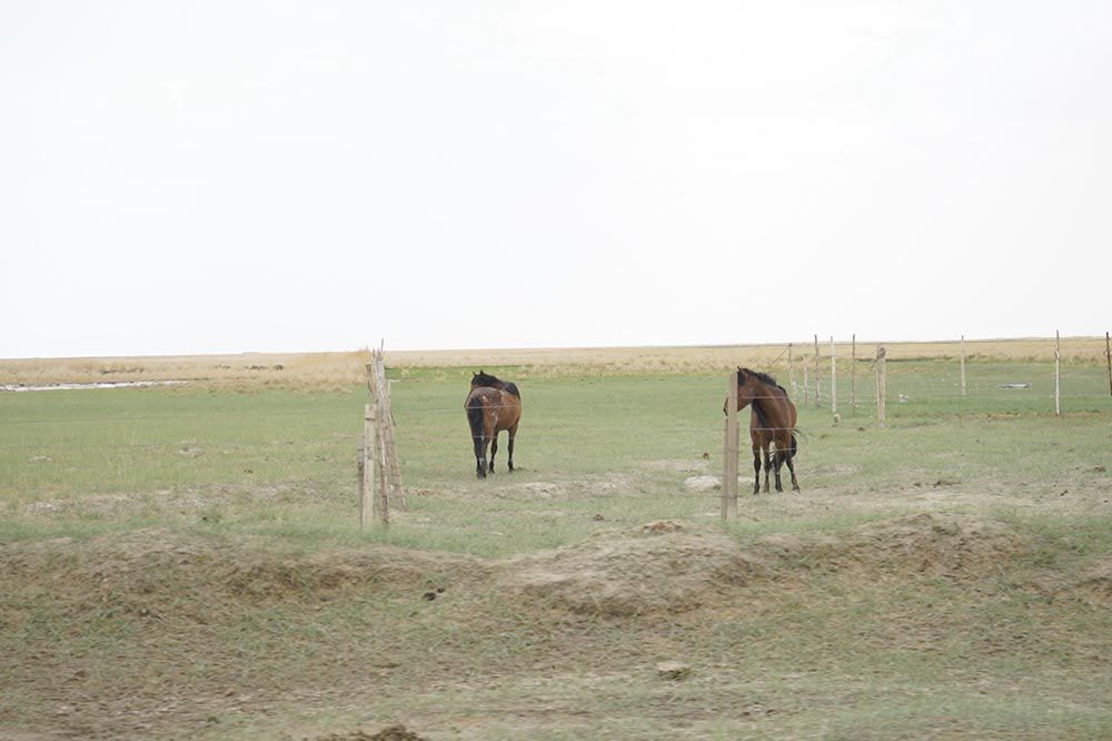 坦克300环青海长测Day5十块茫崖翡翠湖买个乐恶魔之眼震撼人心