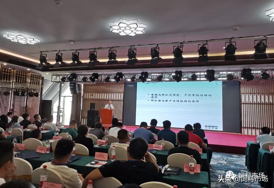 山东活力集团青岛,活力集团新品发布会