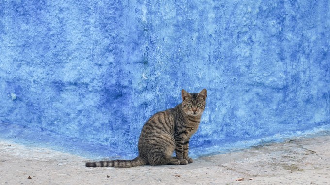艾西拉旅游,浪漫的法国之旅旅游攻略