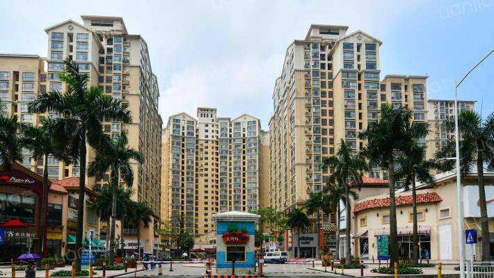 深圳女孩生猛买涨楼市,卖房的靓妹