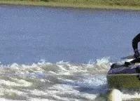 搞笑gif趣图这只狗狗是不是开挂了,搞笑gif趣图乌龟泼猴你别推我