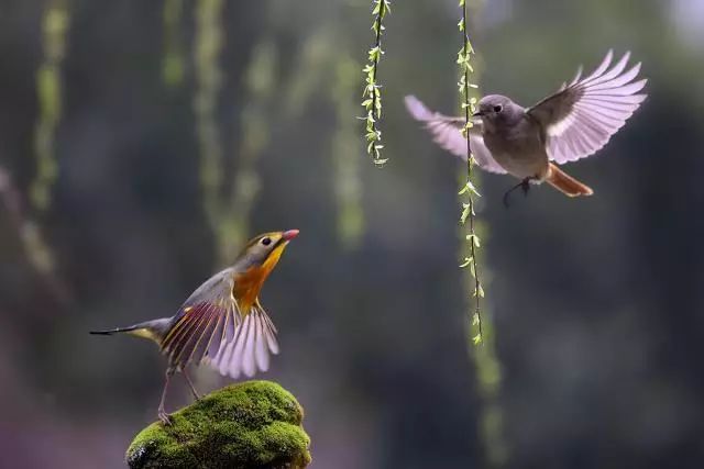 我的单相思,你是我的单相思完整版