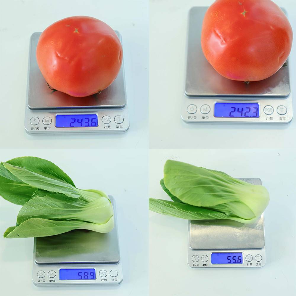 西门子对开门小户型冰箱,双开门西门子冰箱家用实惠一点