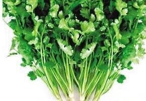 阳春三月看杨花,阳春三月看花香