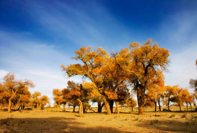 等待一个人来一场说走就走的旅行,等一个人陪我去秋天的腾冲