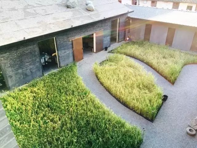 广州增城区宛若故里稻田里民宿,清远稻田田野民宿