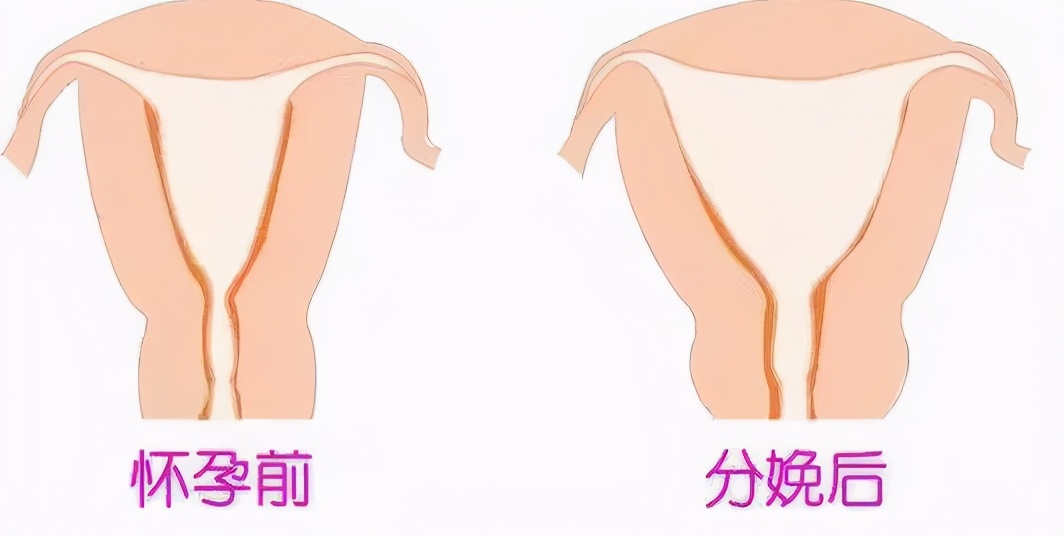 奚梦瑶自曝产后脊柱错位,奚梦瑶产后脊椎错位能治好吗