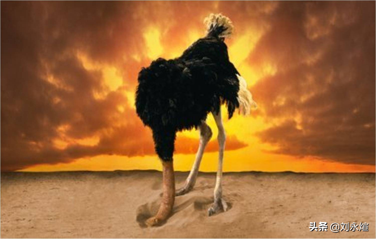 鏂板啝鐥呮瘨涓庣缃楀,鏂板啝鐥呮瘨鍜岀缃楀