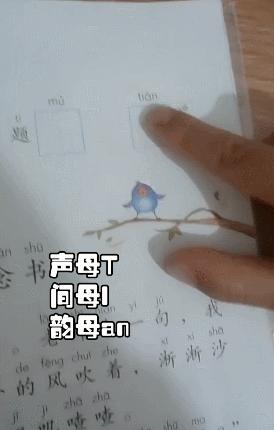 声母韵母整体认读音节速记口诀,怎样教会孩子声母韵母组合拼音