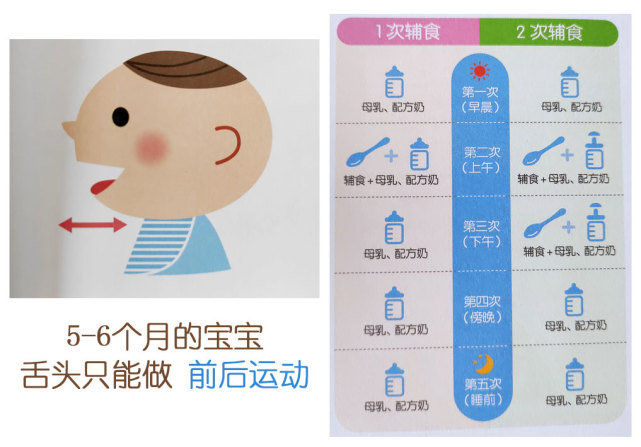 6-18月宝宝辅食添加有它就够,6-8个月辅食添加规律