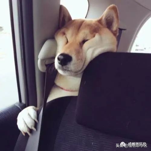 成都锦江区带院子租房,锦江二区挂户