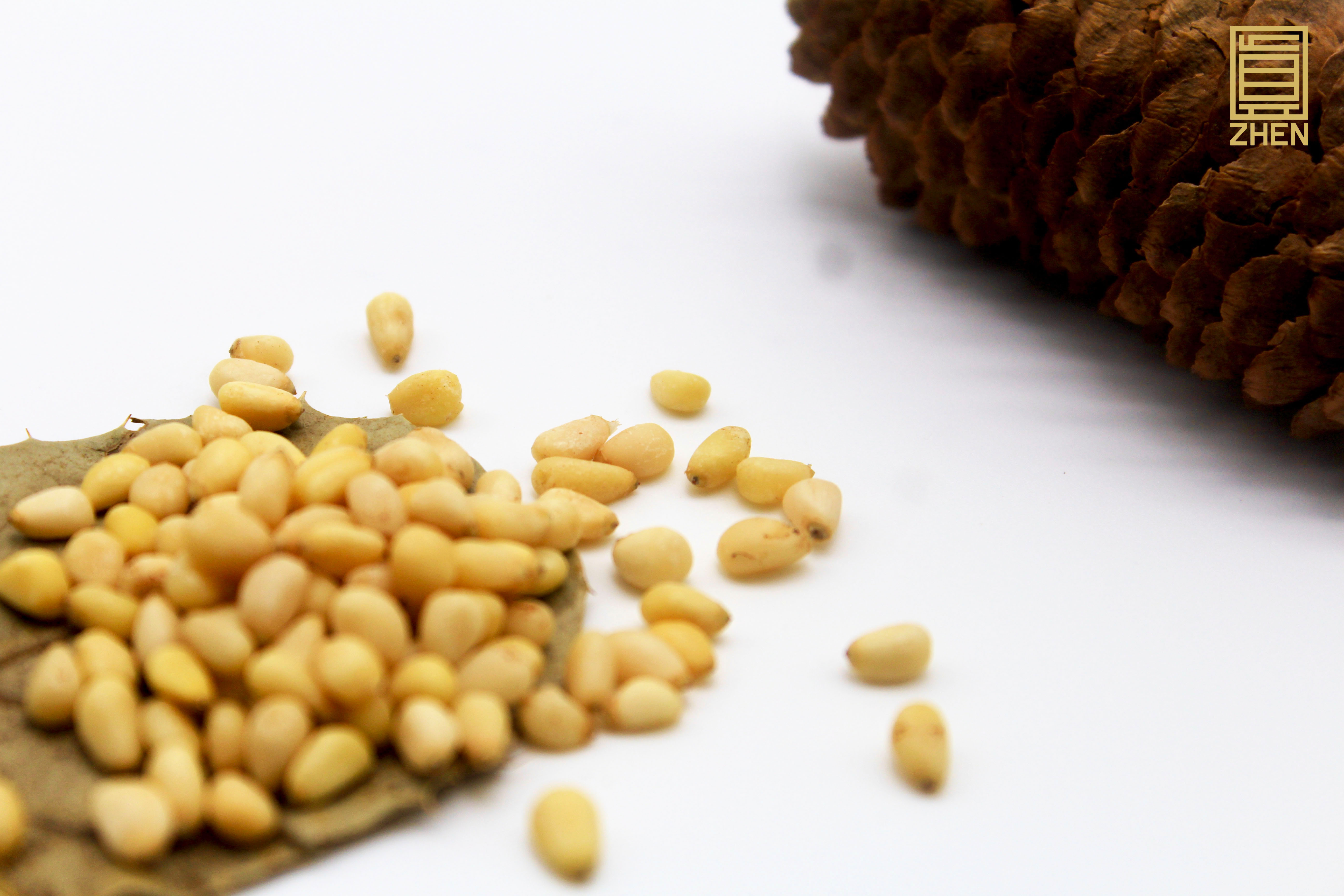 珍品汇食品商行,珍品汇海味