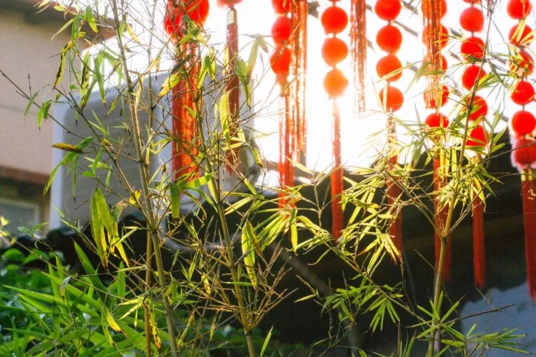 放假在深圳能去哪里玩,放假了可以去深圳的哪些地方玩