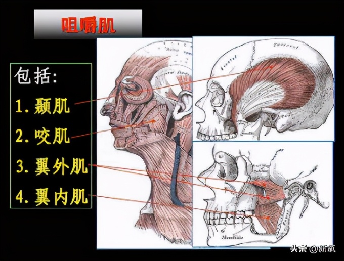 戴牙套真的会出现牙套脸,戴牙套期间牙齿变龅了