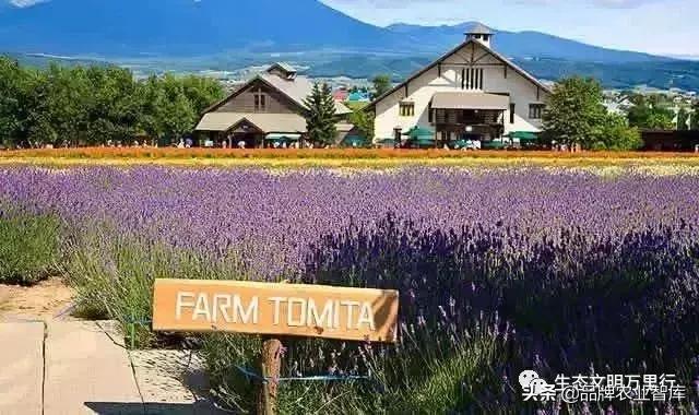 变态的日本农业:敬畏自然、超前思维、死磕单品!