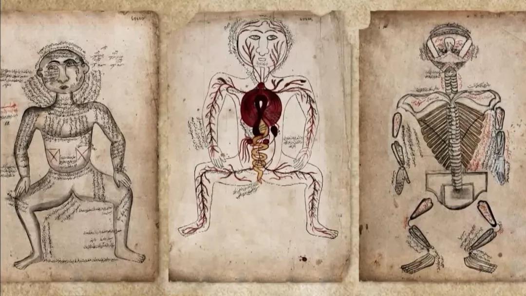 涓浗鍙や唬鍖诲鎵嬫湳,鍙や唬鍖诲鎵嬫湳