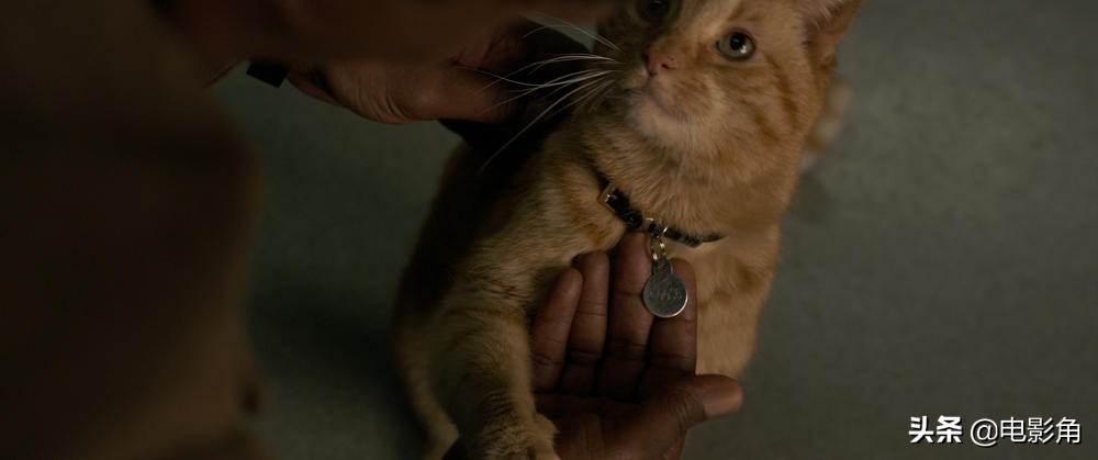 看完惊奇队长下一个该看什么,惊奇队长有多少次陷入生命危险