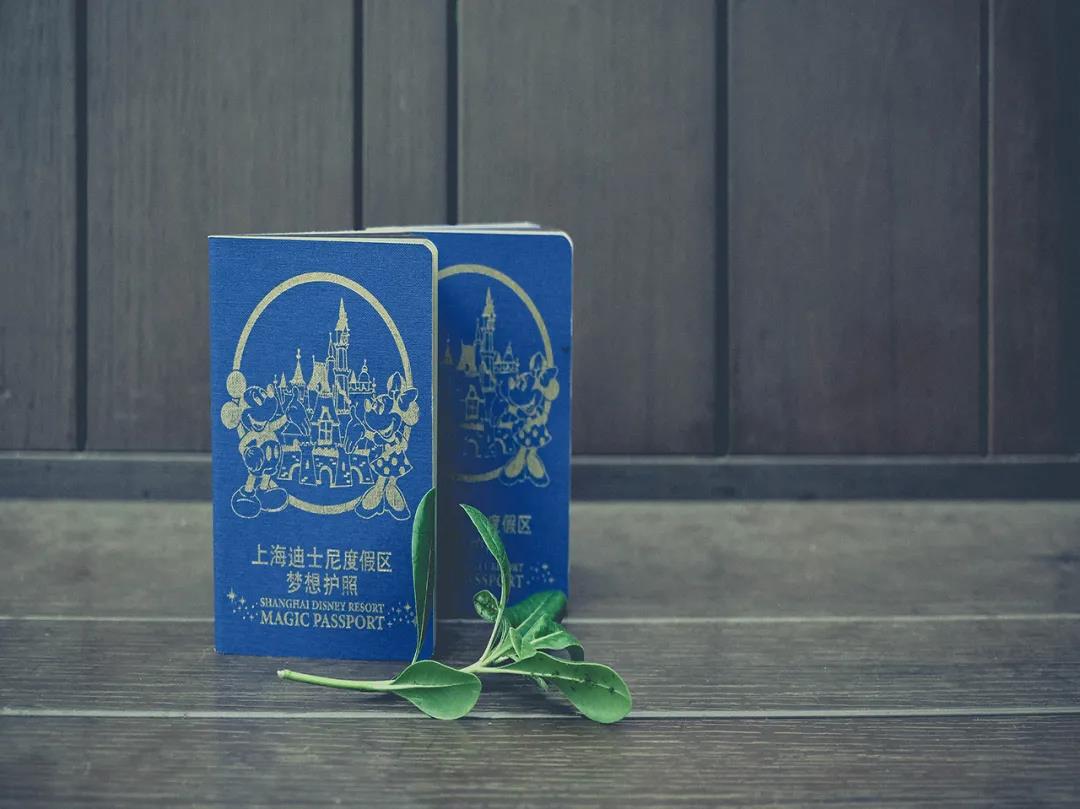 「上海迪士尼5周年」梦想护照，没想到你是这样的