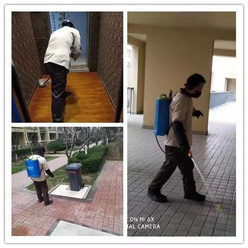 买房要买物业靠谱的小区，看看疫情期间洛阳哪些物业做的好