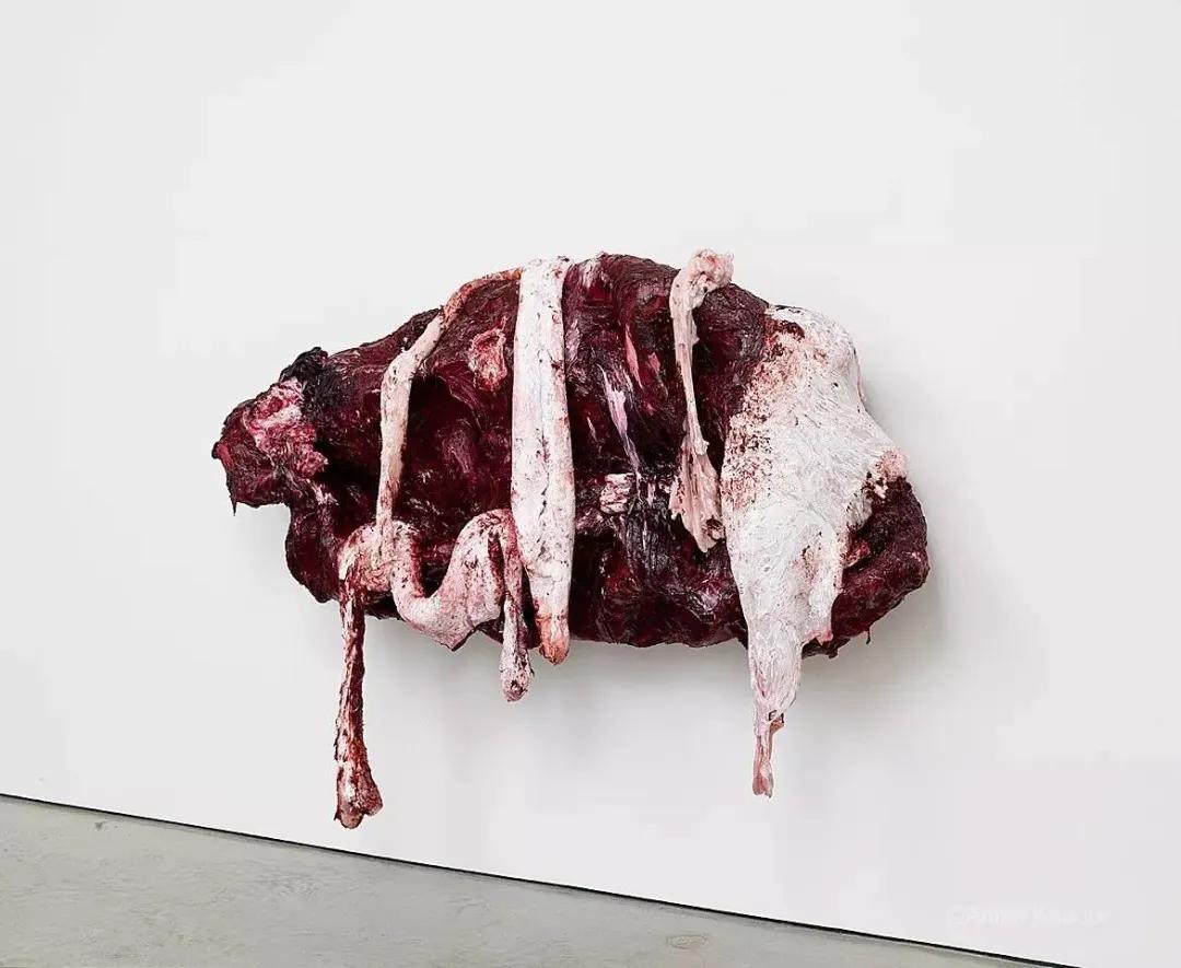 卡普尔来了，却没有人真正看懂他！