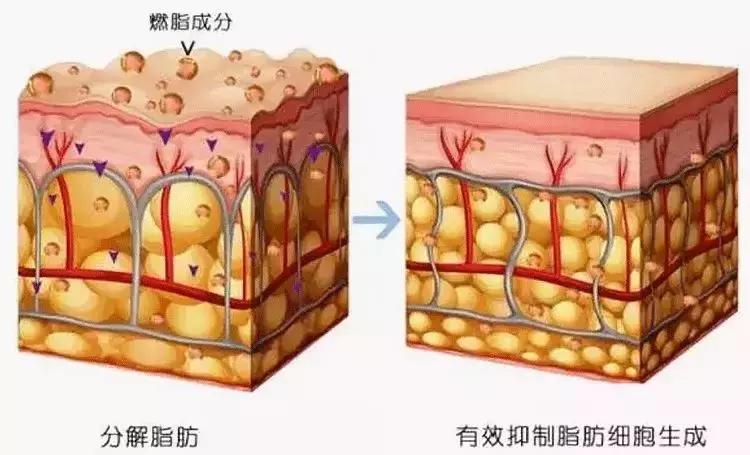 最酷最有科技感的运动裤,一条黑科技裤子