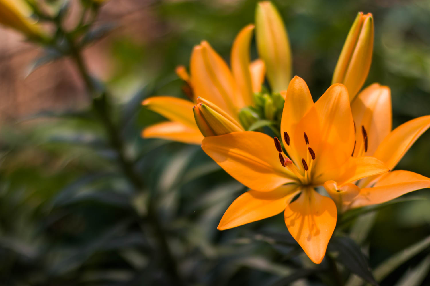 佳能eos77d单反相机机身,佳能eos77d对比苹果手机