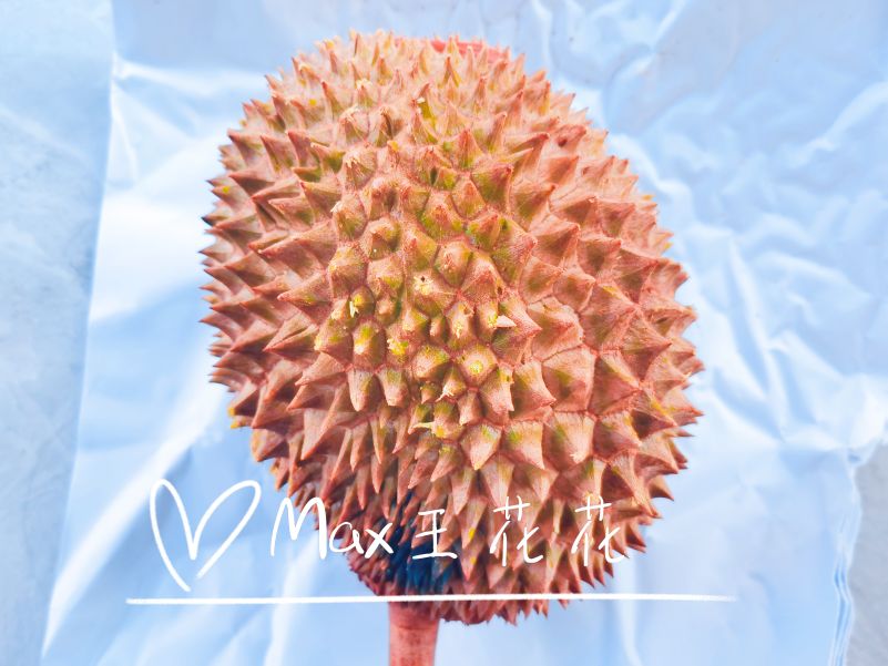 花花的减脂餐,花花轻食减脂餐