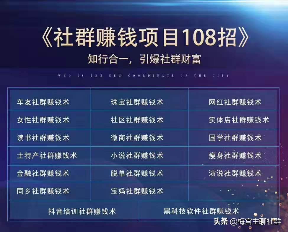 梅宫主新媒体赚法联盟,梅宫主收益