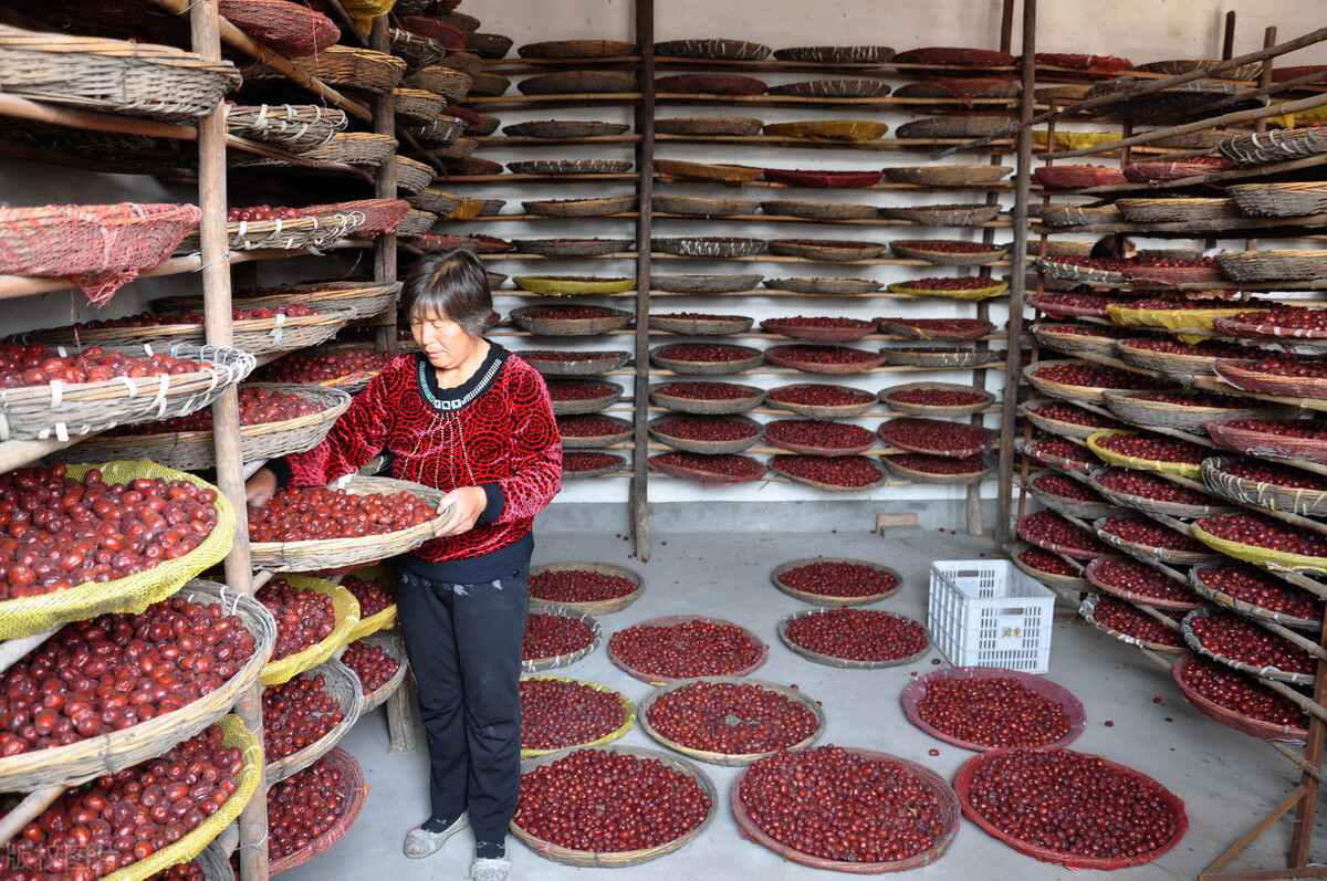 运城市十三县市有哪些,运城十三个县市有哪些