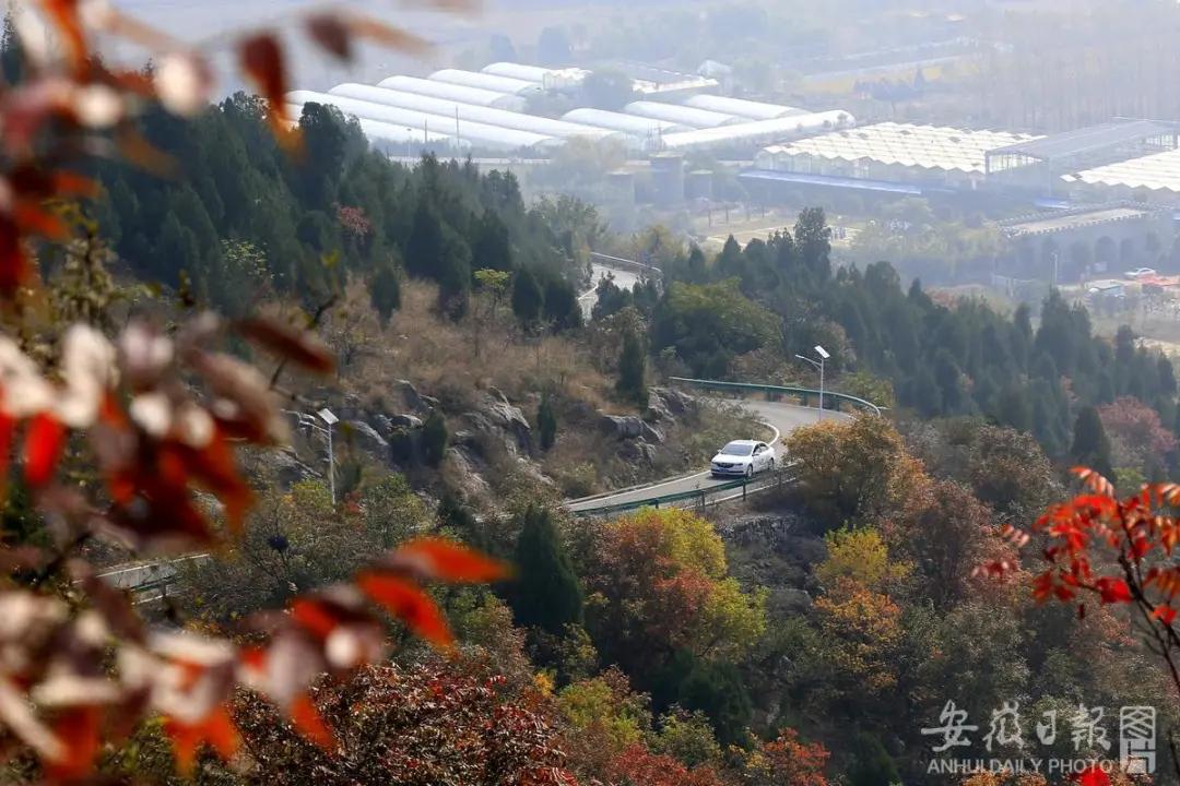 宿州秋色最浓的地方,宿州冬日游玩景点有哪些