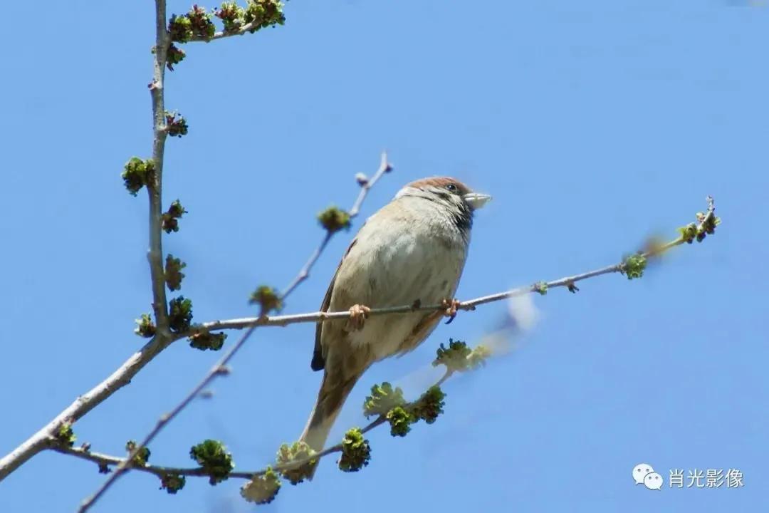 东丽区有发展吗,天津东丽区为什么没发展