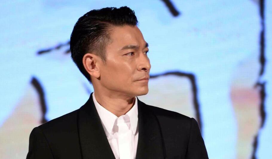 刘德华辛酸的经历电影,刘德华经历奋斗的辛酸