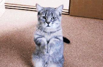 f-16v简介,f16v升级版视频