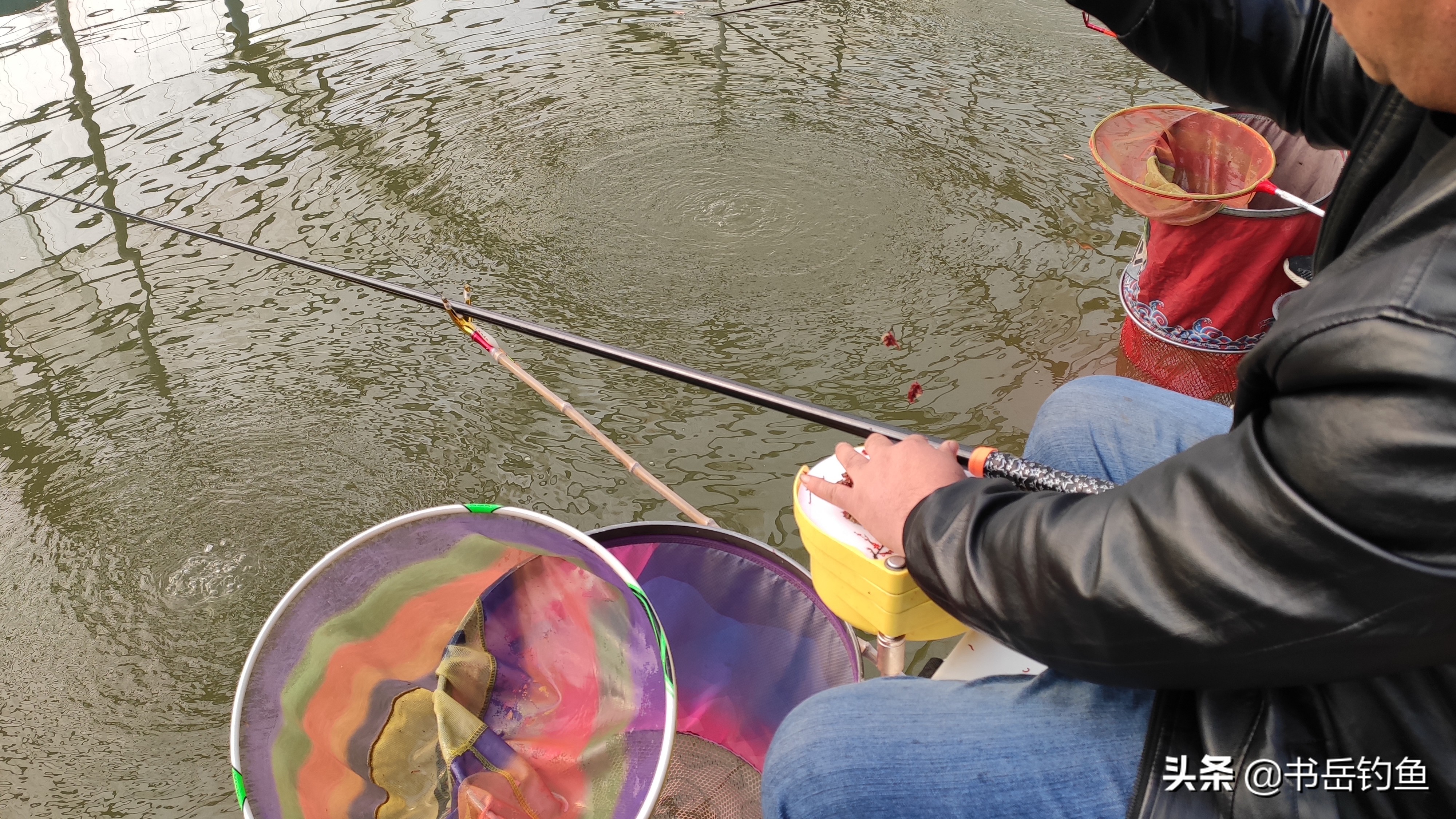 黑坑小炮钓鱼思路,黑坑小炮夜钓需要注意什么