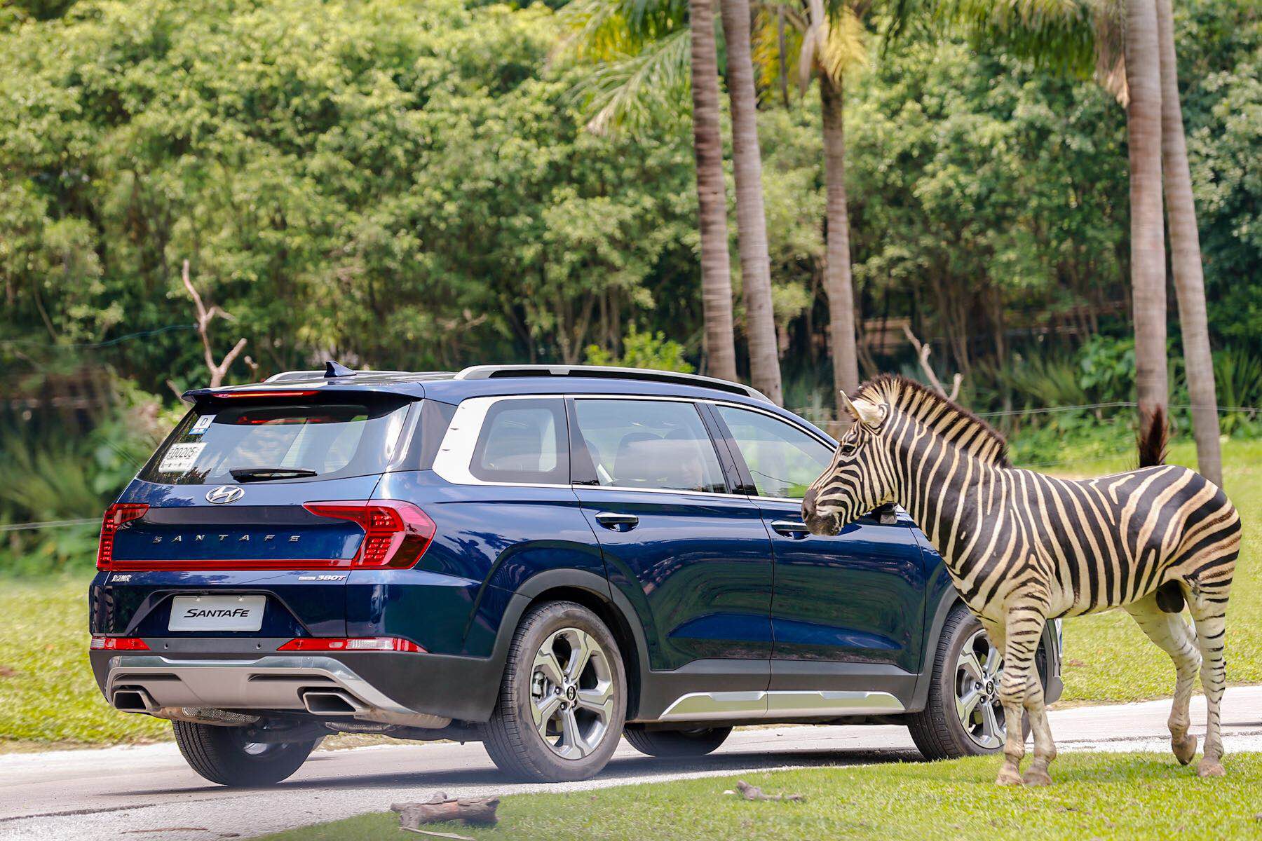 第四代胜达是中大型suv,第四代胜达空间表现怎么样