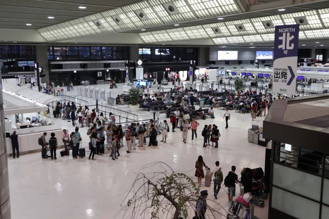 飞机去晚了赶不上怎么办,第一班飞机晚点赶不上转机怎么办