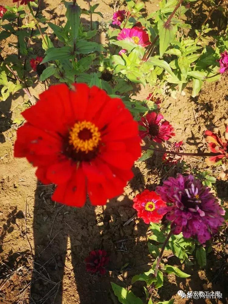 金太阳幼儿园校门,延安市甘泉谢金庄幼儿园