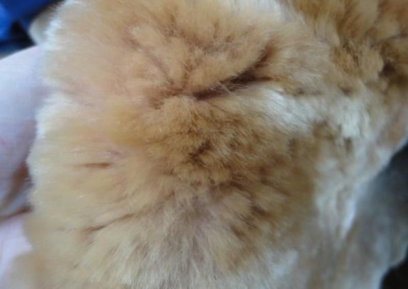 杭州常见服装面料分类,裙子面料最常见的有哪些