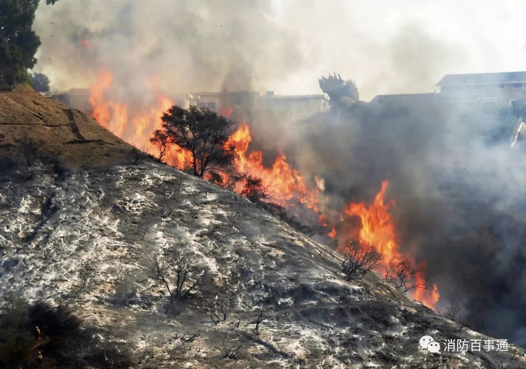 美国加州大火死了多少人,加州大火死多少人