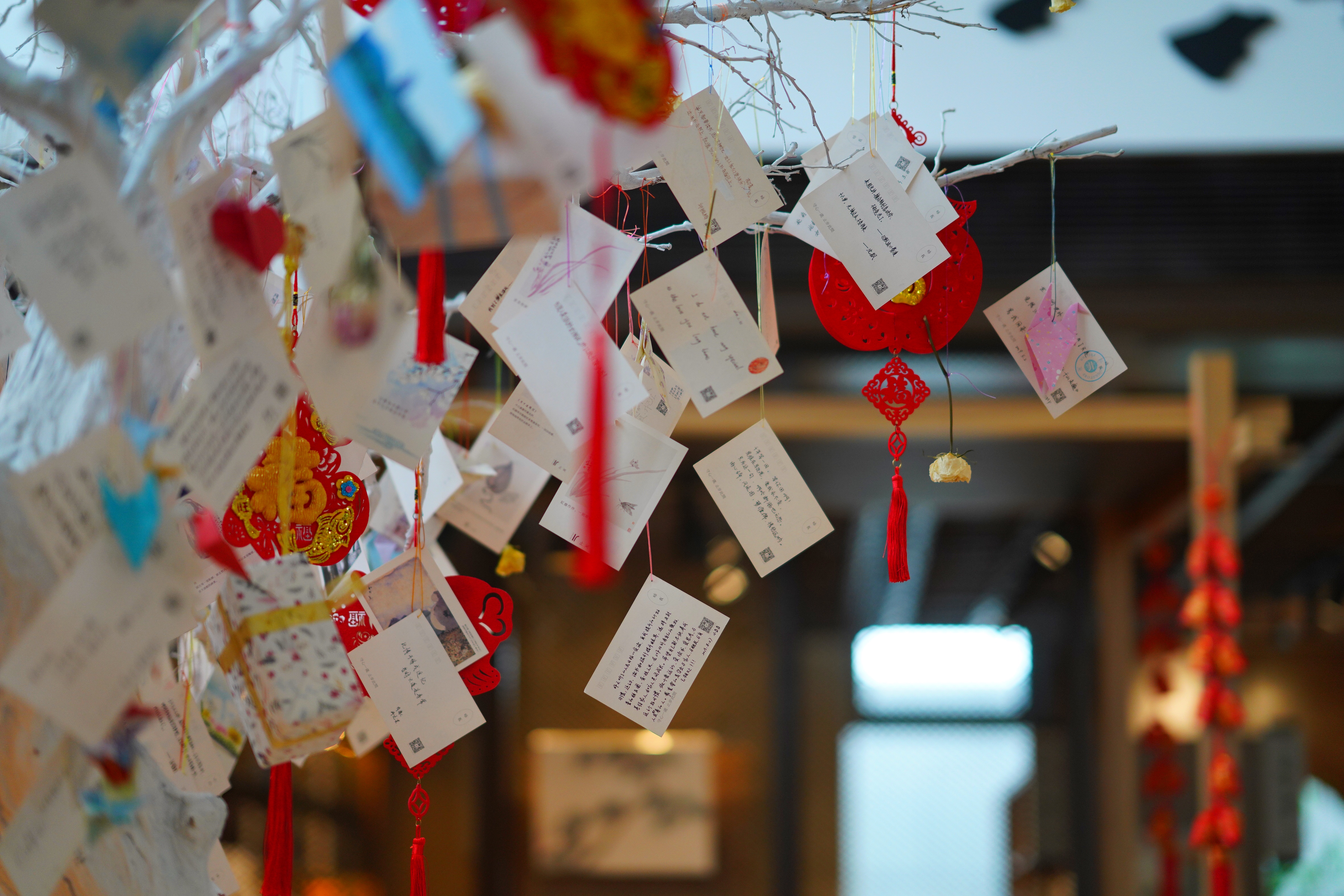 送你一份不走寻常路的苏州攻略，田园风民宿+文艺小清新打卡地