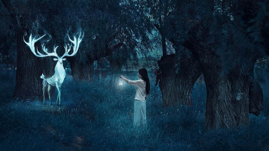 要想解开梦就看周公解梦,周公解梦白话文讲解