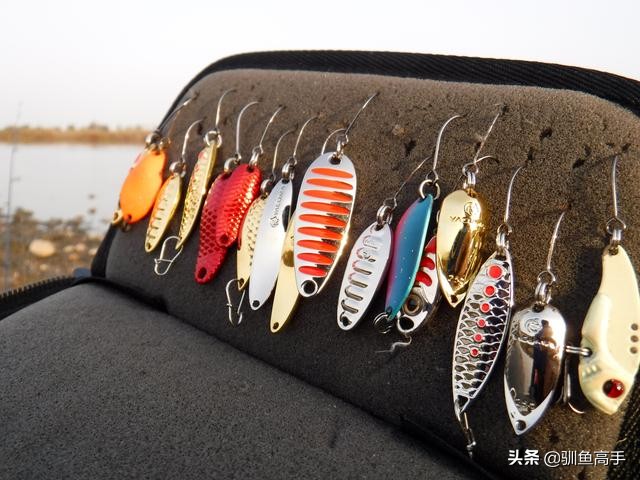 路亚赤眼鳟攻略,赤眼鳟路亚操作手法