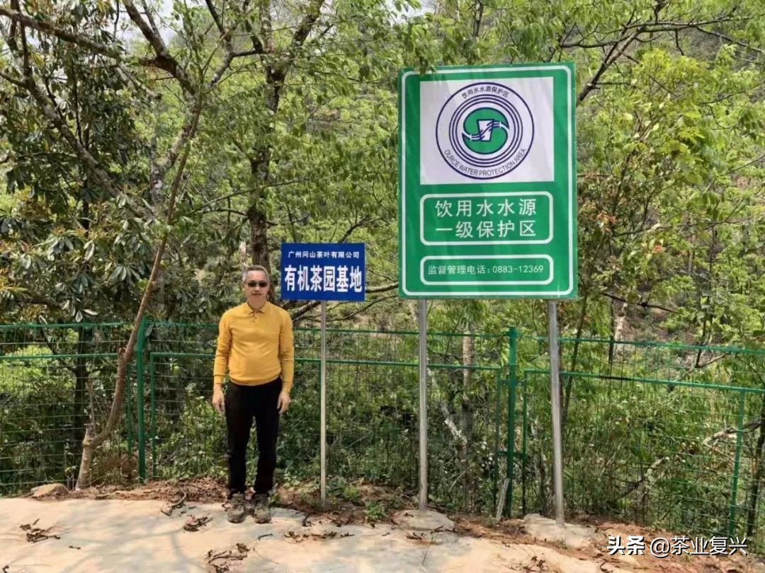 芳村茶市场,芳村茶叶市场都是金融茶吗