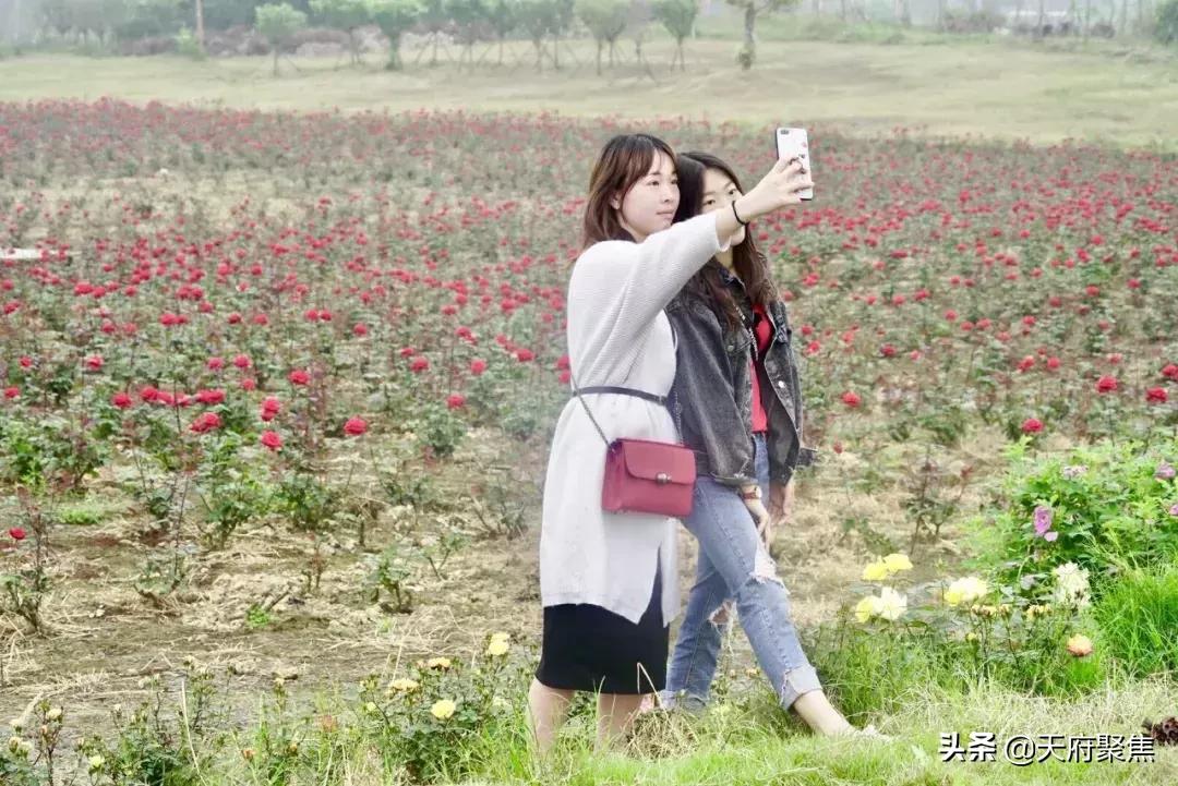 仁寿夏季旅游景区,2020仁寿旅游