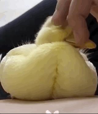 甭管啥就盘它,甭管什么东西盘它原版