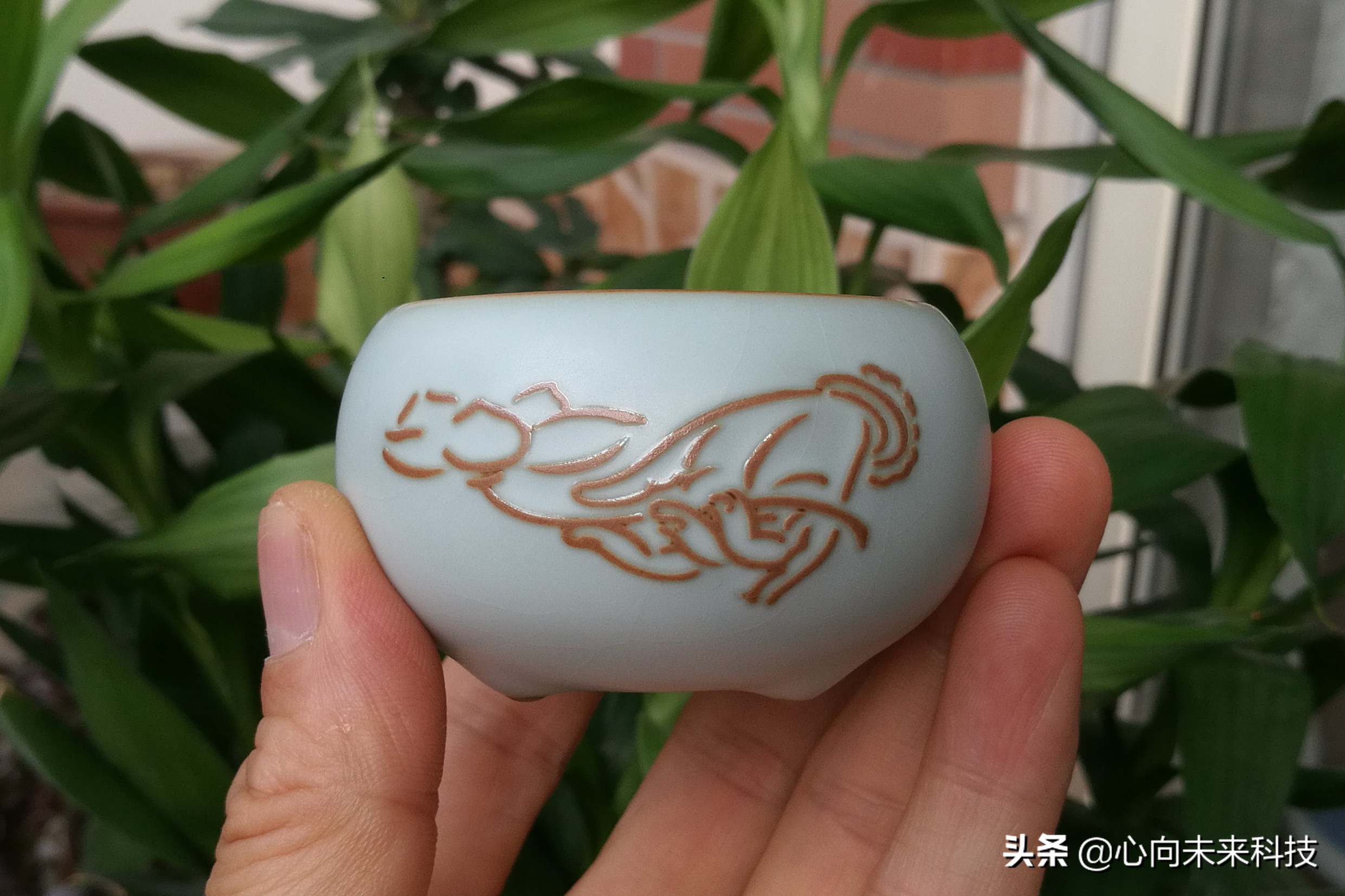 汝瓷新手入坑,汝瓷个人喝茶最实用的茶具