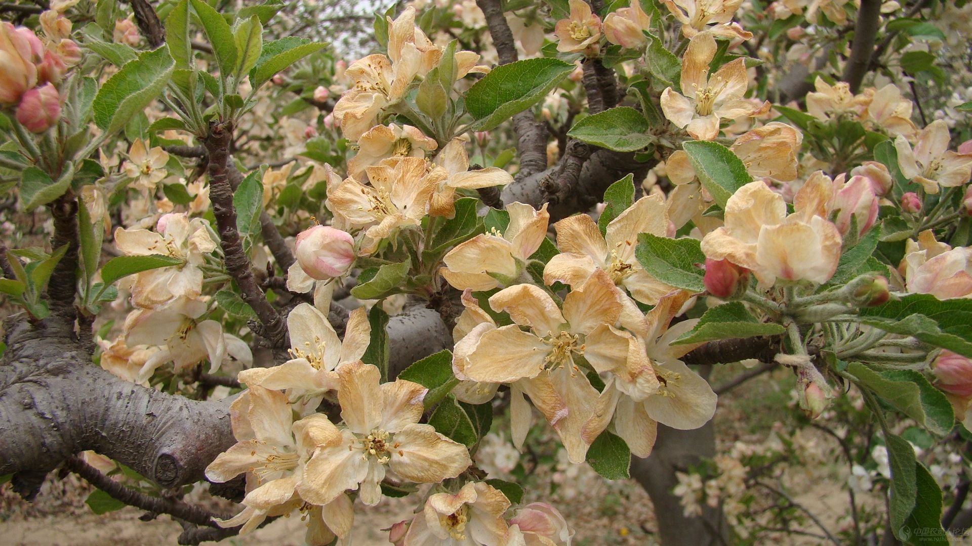 瀵掓皵渚佃韬綋,瀵掓皵鍏ヤ镜浼氬鍔犺韩浣撴箍姘斿悧