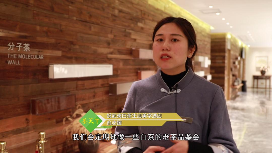 武夷茶分布图,武夷茶有岩韵