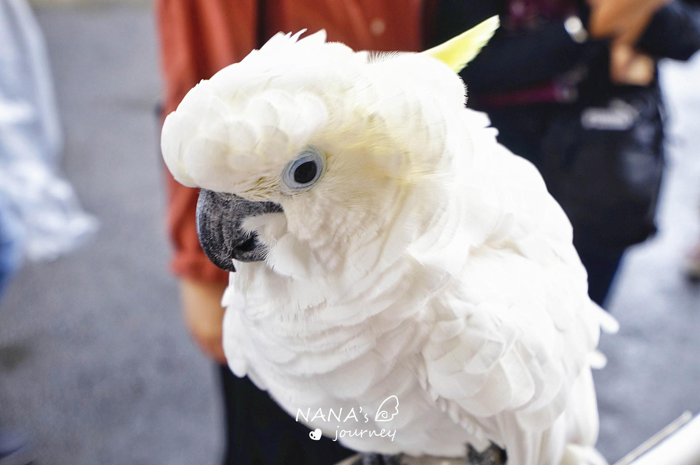 欢乐谷刺激的项目,欢乐谷最刺激的娱乐项目