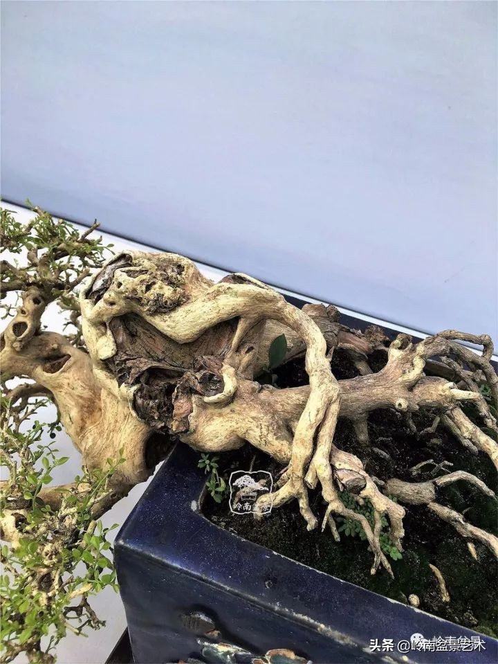 骞哥涔呬箙鐢滅敎铚滆湝,骞哥涔呬箙